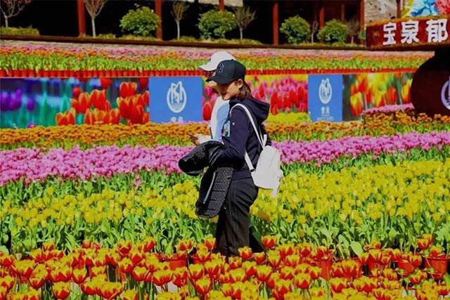 28圈加拿大铝业铝板厂家组织员工宝泉游玩